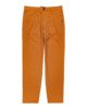 GLAZED GINGER (3700)