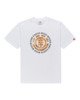 OPTIC WHITE (3904)