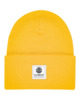 SPICY MUSTARD (4965)