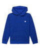 SODALITE BLUE (2432)