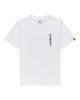 OPTIC WHITE (3904)