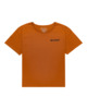 GLAZED GINGER (3700)