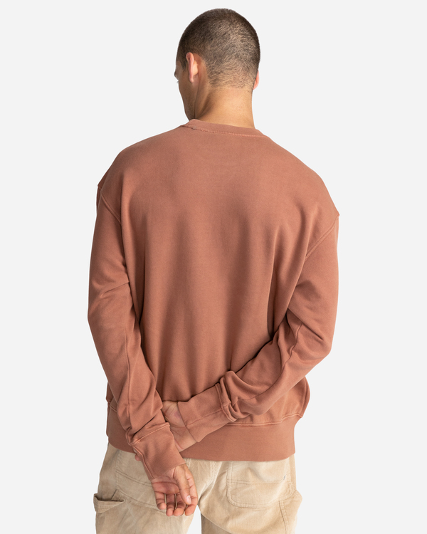 9 Cornell 3.0 - Felpa da Uomo Brown C1CRC1ELP2 Element