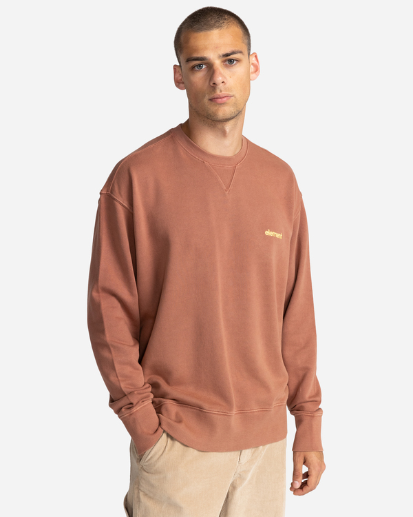 1 Cornell 3.0 - Felpa da Uomo Brown C1CRC1ELP2 Element