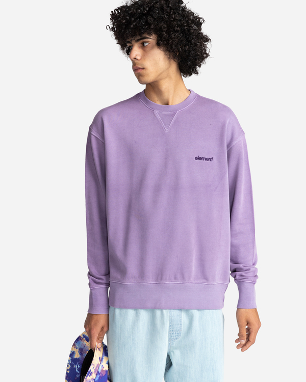 1 Cornell 3.0 - Sweat pour Homme Violet C1CRC1ELP2 Element