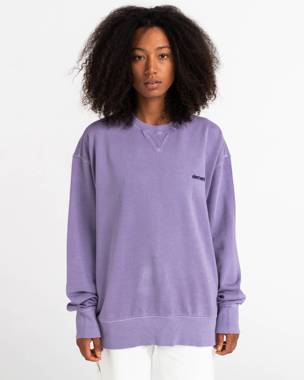 5 Cornell 3.0 - Sweat pour Homme Violet C1CRC1ELP2 Element