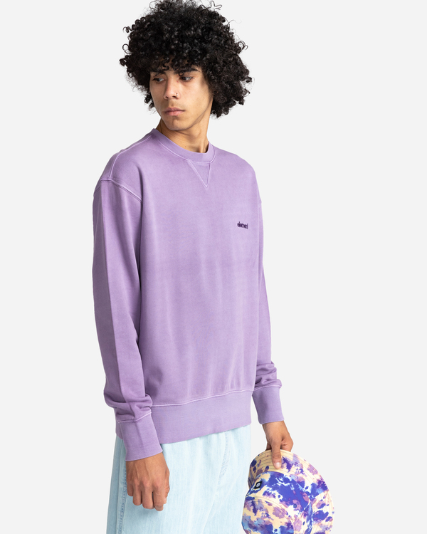 2 Cornell 3.0 - Sweat pour Homme Violet C1CRC1ELP2 Element