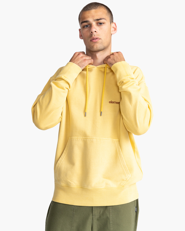 1 Cornell 3.0 - Sweat à capuche pour Homme  C1HOB1ELP2 Element