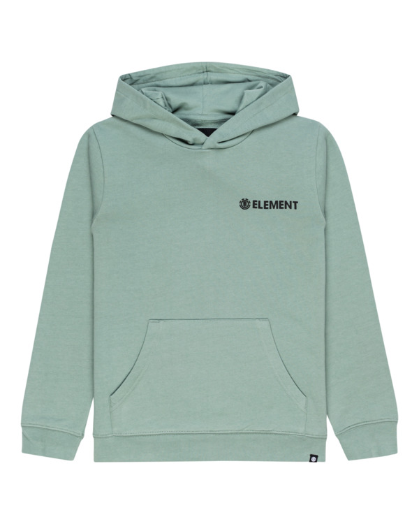 0 Blazin' Chest - Sweat à capuche pour Garçon 8-16 ans  C2HOC1ELP2 Element