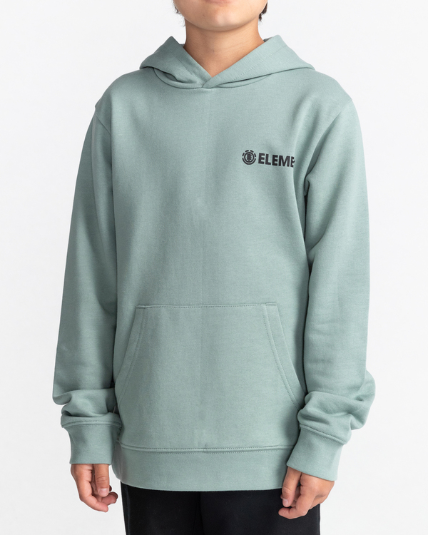 1 Blazin' Chest - Sweat à capuche pour Garçon 8-16 ans  C2HOC1ELP2 Element
