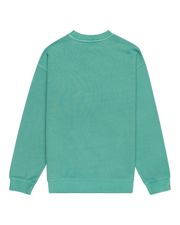 1 Cornell 3.1 - Sweat pour Garçon 8-16 ans Vert ELBFT00110 Element