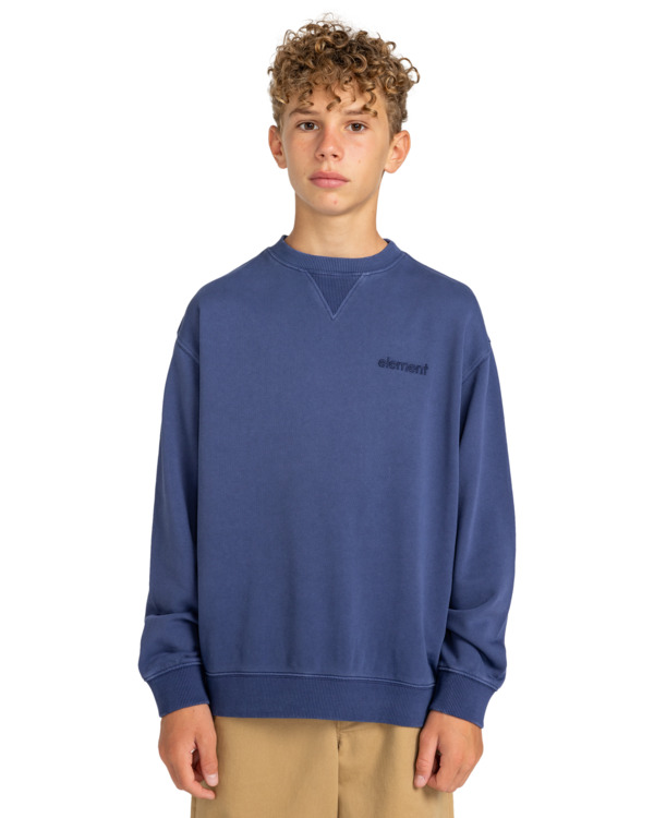 2 Cornell 3.1 - Sweat pour Garçon 8-16 ans Bleu ELBFT00110 Element