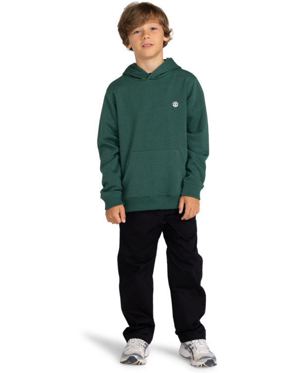 5 Cornell Classic - Sudadera con Capucha para Chicos 8-16 Verde ELBFT00113 Element