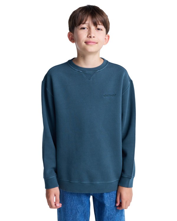 3 Lowcase Pigment Cr Y - Sweatshirt for Boys 8-16 Blue ELBFT00130 Element