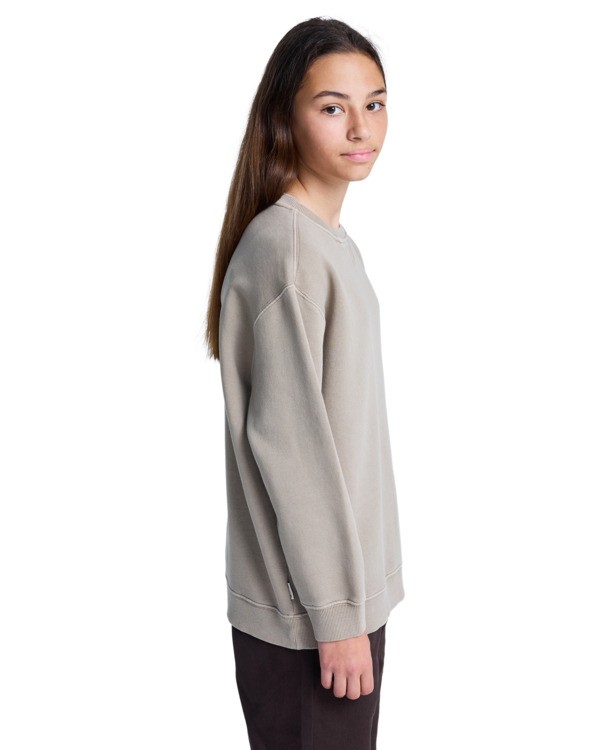 4 Lowcase Pigment Cr Y - Sweatshirt für Jungen 8-16 Beige ELBFT00130 Element