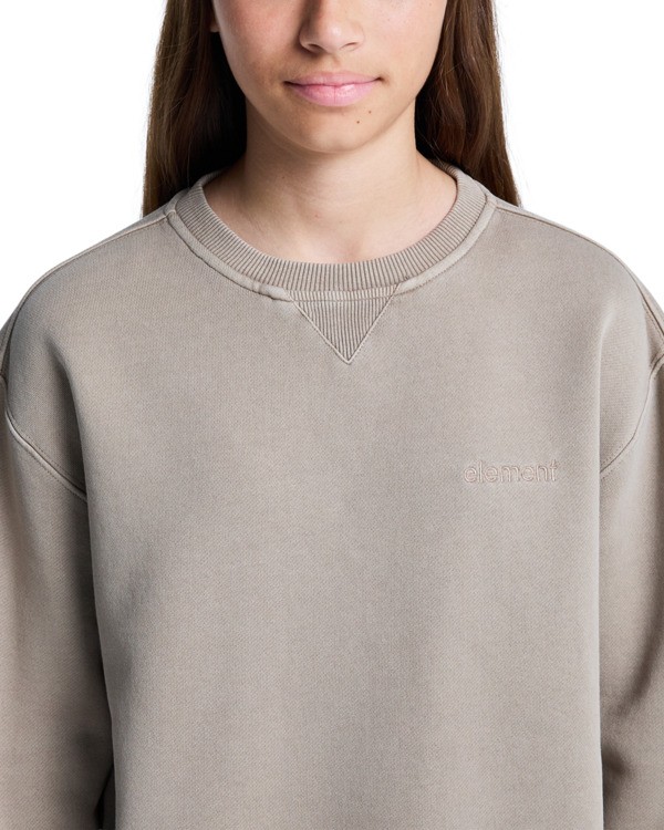 5 Lowcase Pigment Cr Y - Sweatshirt für Jungen 8-16 Beige ELBFT00130 Element