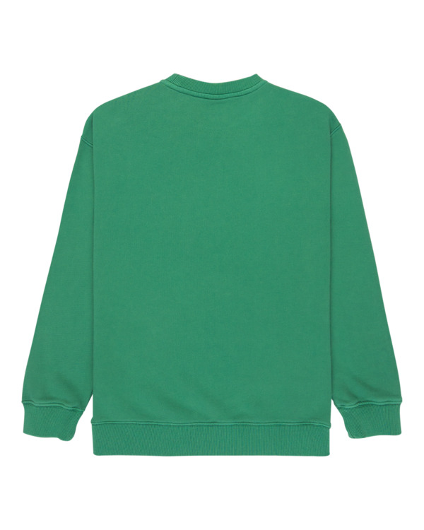 1 Cornell 3.0 - Pullover Sweatshirt for Boys 8 - 16 Green ELBFT00137 Element