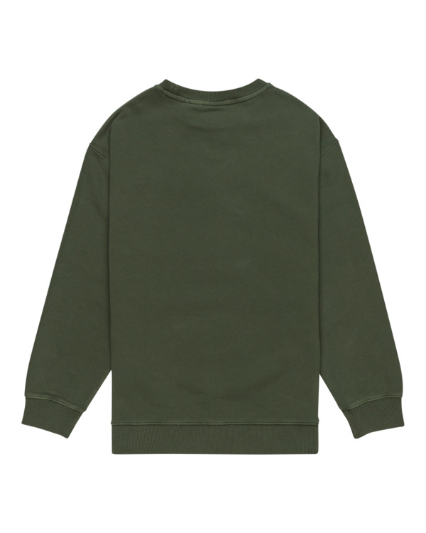 1 Cornell 3.0 - Sweat pour Garçon 8-16 Vert ELBFT00137 Element