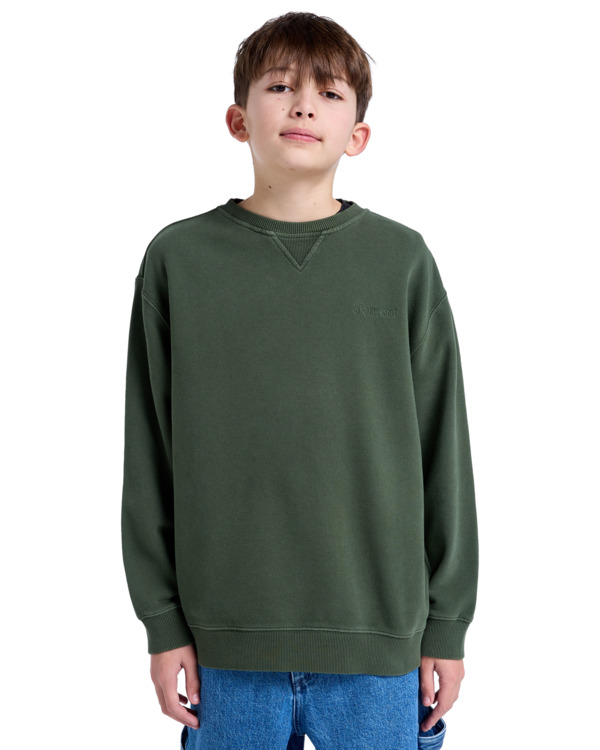 3 Cornell 3.0 - Pullover Sweatshirt for Boys 8 - 16 Green ELBFT00137 Element