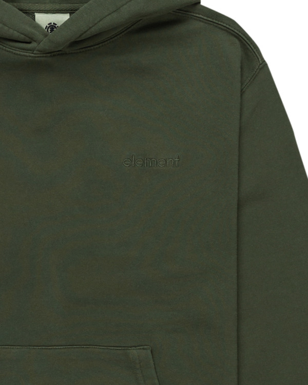 2 Cornell 3.0 - Hoody voor Jongens 8-16 Green ELBFT00138 Element