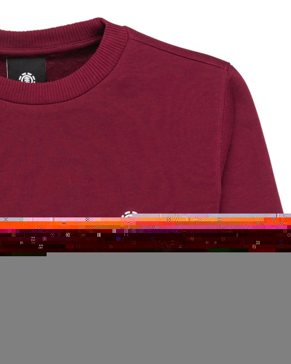 2 Icon Embroidery Cr Y - Sweatshirt para rapazes 8-16 Vermelho ELBFT00144 Element