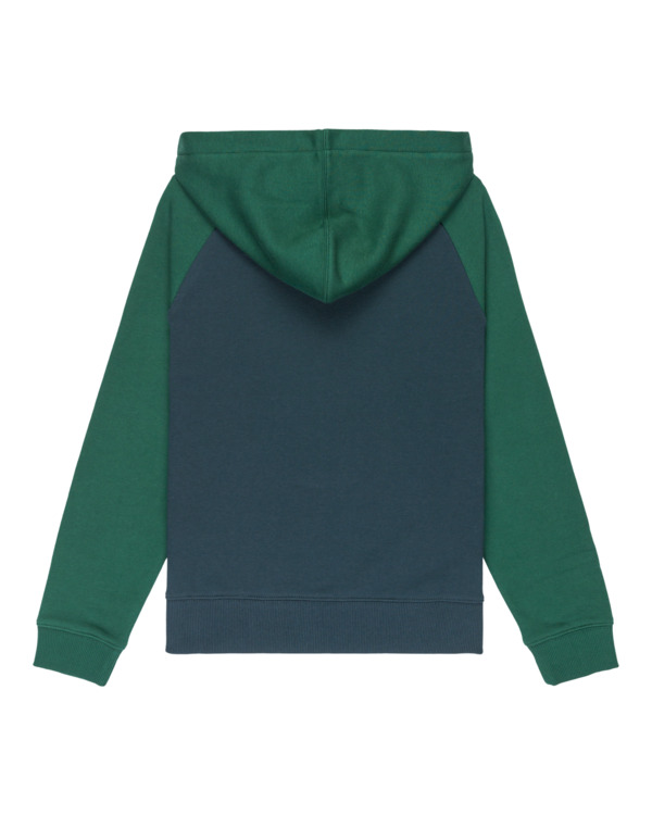 1 Icon Embroidery 2Tone Y - Hoodie voor Jongens 8-16 Blue ELBFT00145 Element