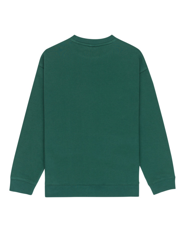 1 Central Lowcase Cr Y - Sweater voor Jongens 8-16 Green ELBFT00146 Element