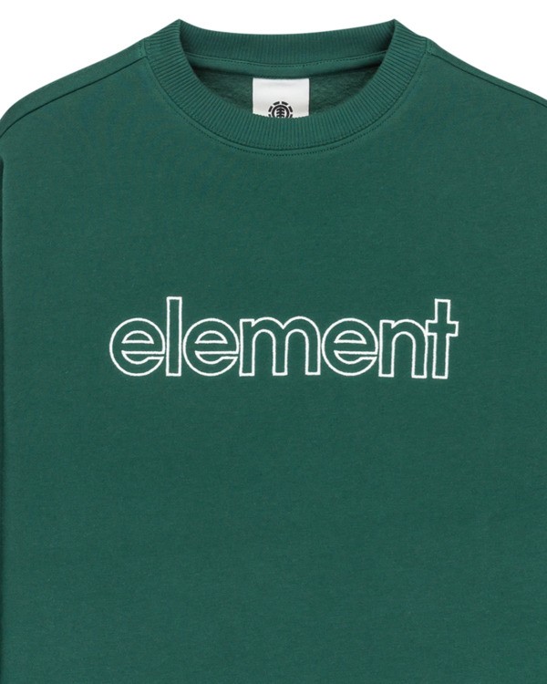 2 Central Lowcase Cr Y - Sweater voor Jongens 8-16 Green ELBFT00146 Element