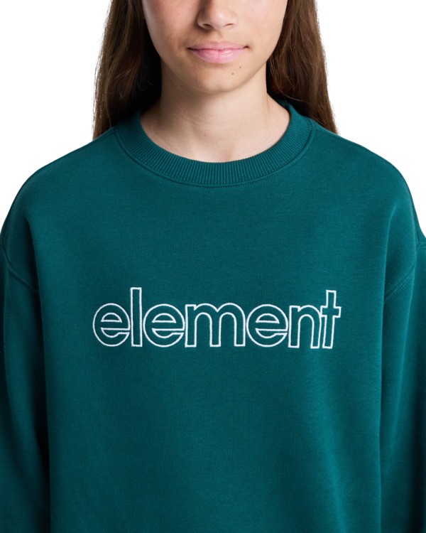 5 Central Lowcase Cr Y - Sweater voor Jongens 8-16 Green ELBFT00146 Element