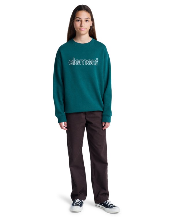 6 Central Lowcase Cr Y - Sweater voor Jongens 8-16 Green ELBFT00146 Element