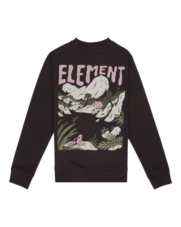 0 Lakeside - Sweatshirt para Rapazes 8-16 Preto ELBFT00160 Element