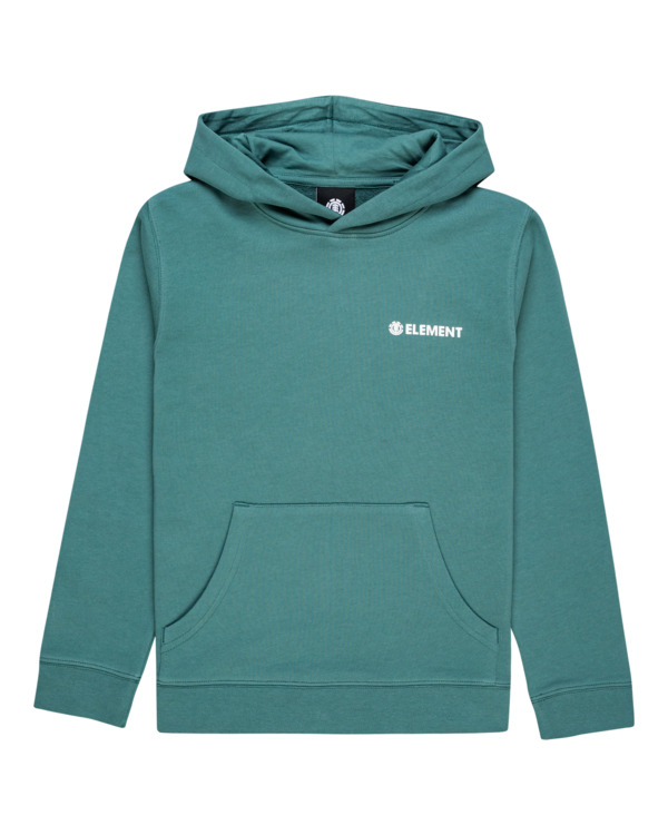 0 Blazin Chest - Sweat à capuche pour Garçon 8-16 ans Bleu ELBSF00107 Element