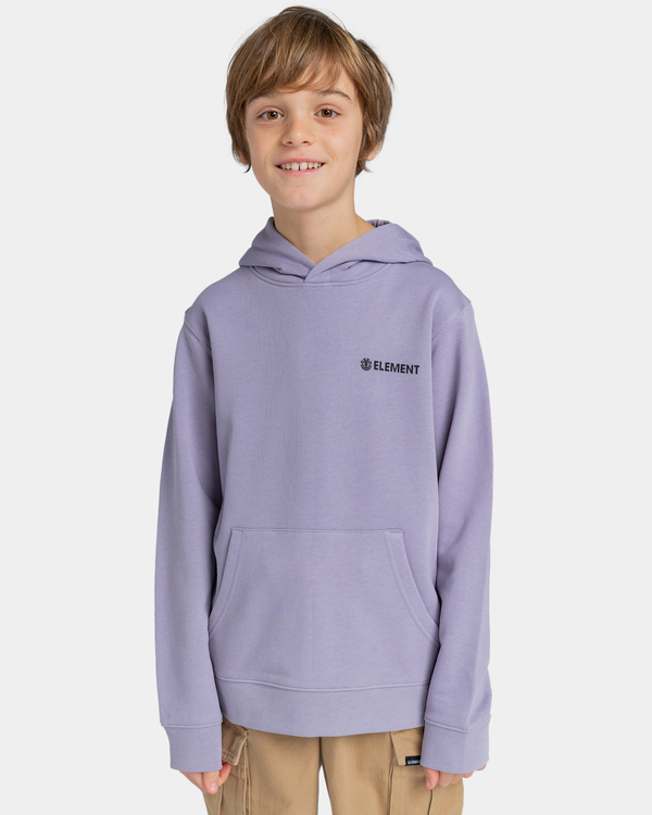 Blazin Chest Hoodie for Boys 8 16