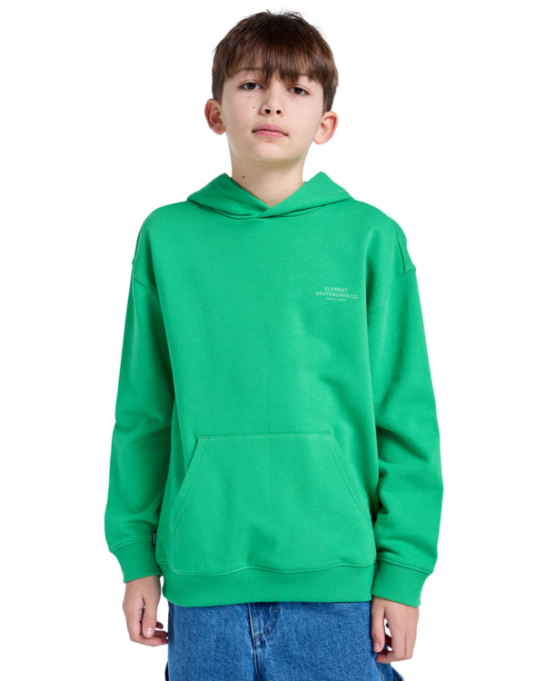 3 Skateboard Co - Pullover Hoodie for Boys 8 - 16 Green ELBSF00182 Element