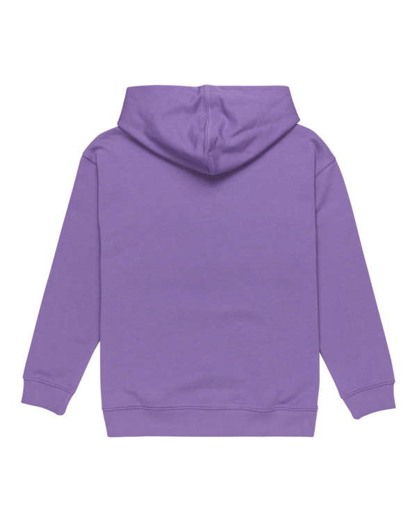 1 Walkin - Pullover Hoodie for Boys 8 - 16 Purple ELBSF00187 Element