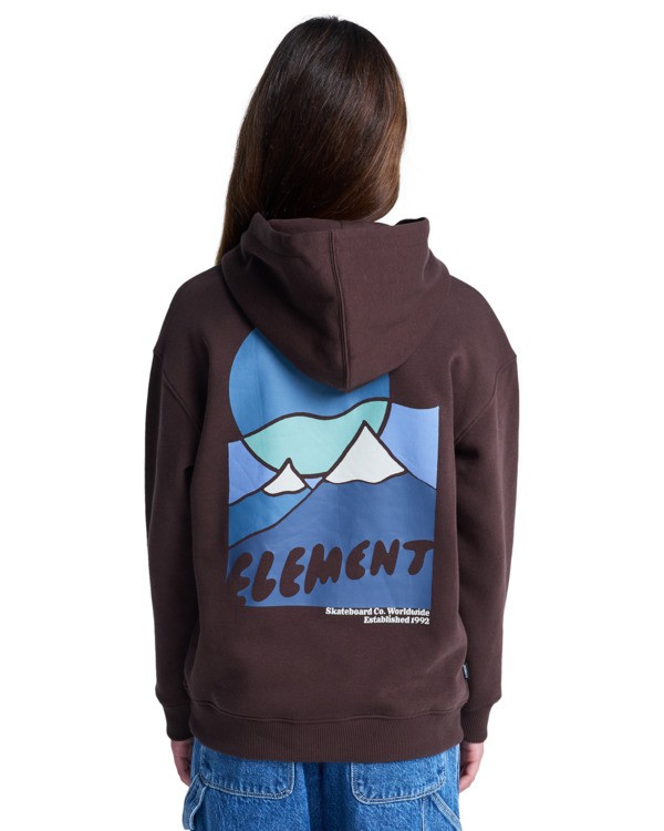 8 Sunrise Po Y - Hoodie for Boys 8-16 Brown ELBSF00217 Element