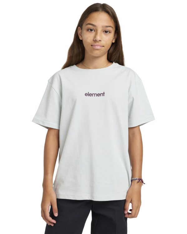 2 Simple Logo - Short Sleeves T-shirt for Boys 8 - 16 Gray ELBZT00199 Element