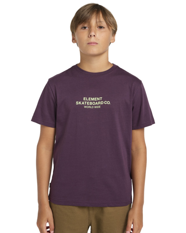 2 Skateboard Co - T-shirt met Korte mouw voor Jongens 8-16 Purple ELBZT00200 Element