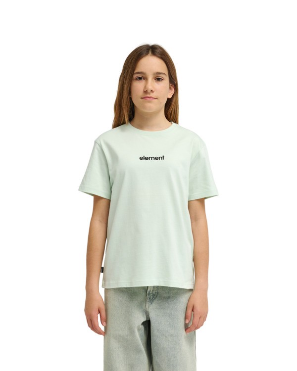 2 Lowcase Bp Y - Short Sleeve T-Shirt for Boys 8-16 Green ELBZT00249 Element