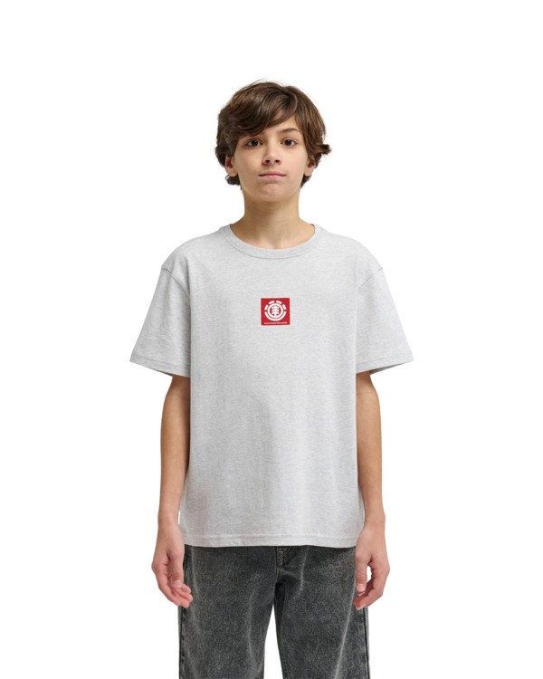 4 Square Logo Gray ELBZT00290 Element