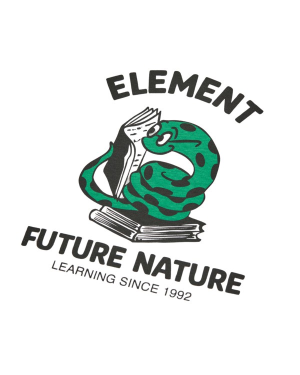 2 Teaching Snake Gray ELBZT00304 Element