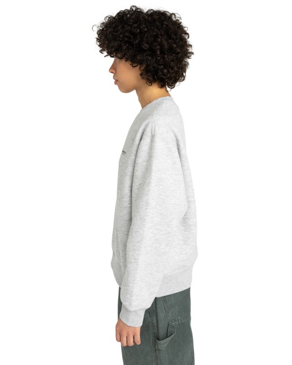 1 Element Co Cr W - Sweat pour Femme Gris ELJFT00123 Element