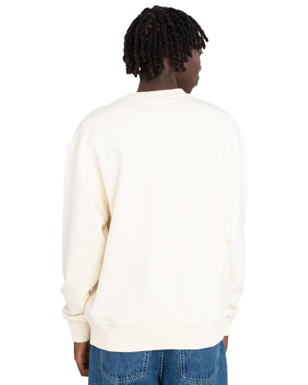 6 Cornell Cipher - Felpa pullover da Uomo White ELYFT00161 Element