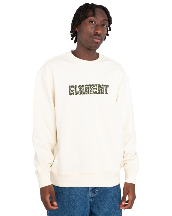 2 Cornell Cipher - Pullover Sweatshirt for Men White ELYFT00161 Element