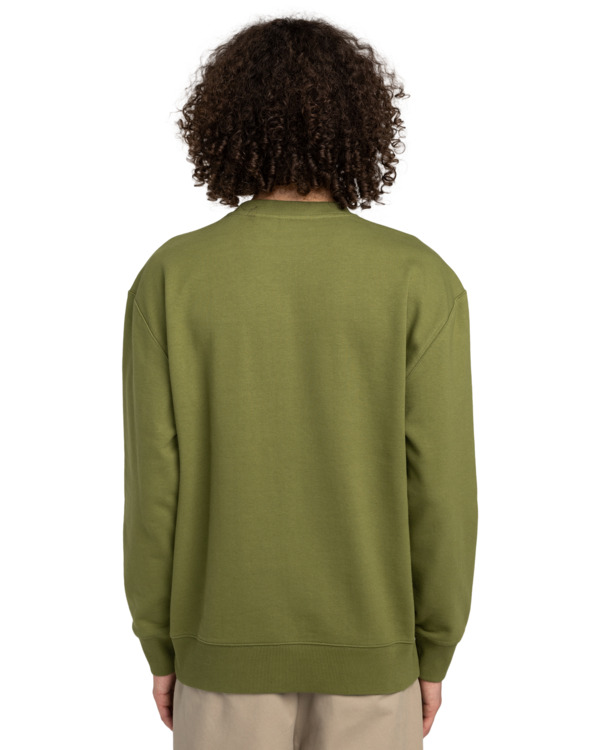 6 Cornell Cipher Verde ELYFT00190 Element