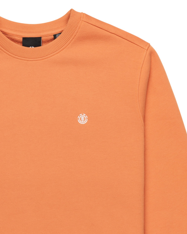 2 Cornell Classic - Sudadera para Hombre Naranja ELYFT00197 Element