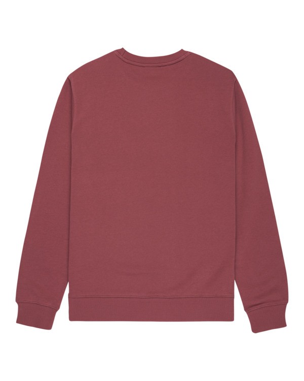 1 Icon Embroidery Cr - Sweatshirt for Men Purple ELYFT00197 Element