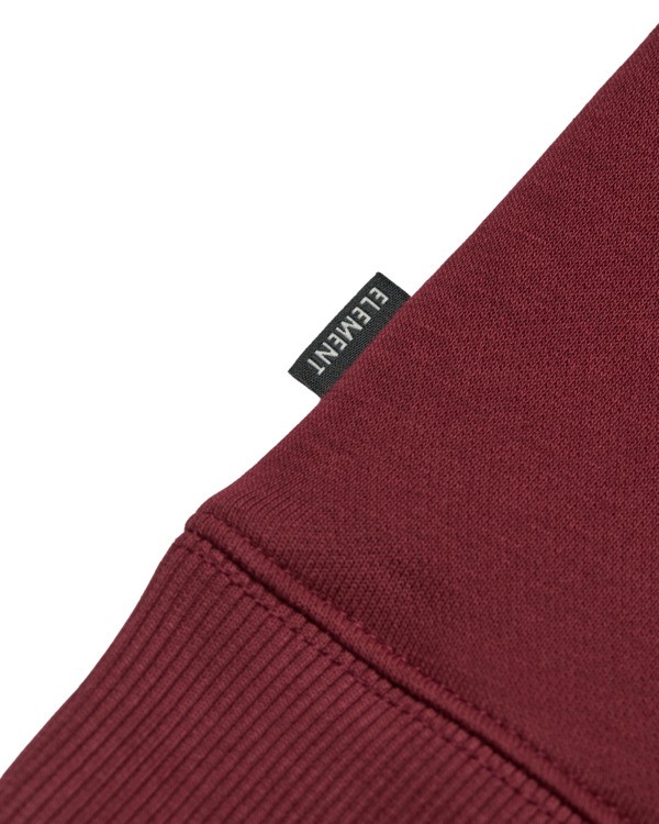 2 Icon Embroidery Po - Sweat à capuche pour Homme Rouge ELYFT00198 Element