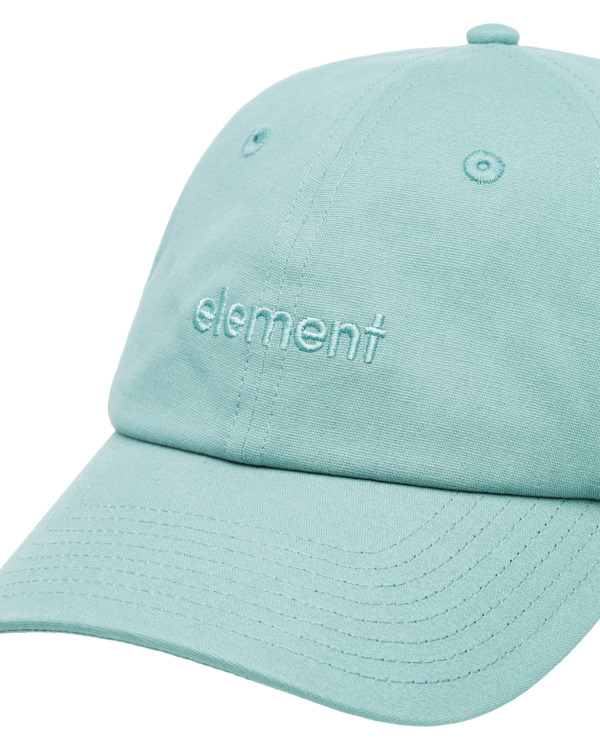 2 Fluky 3.0 - Dad Cap voor Heren Blue ELYHA00189 Element