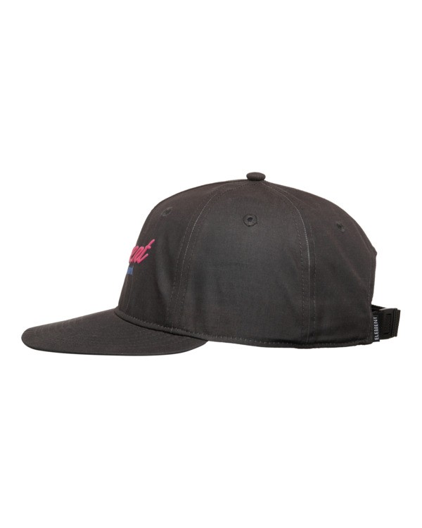1 Pool Service 6 Panel Schwarz ELYHA00264 Element